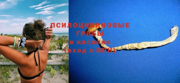 эйфоретик Алексин