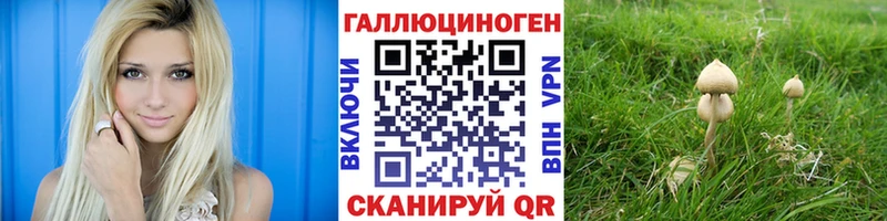 Галлюциногенные грибы Psilocybine cubensis Краснокамск